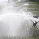 Nebraska’s corn rating drops to 65 percent