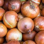 Michigan onion program up for vote