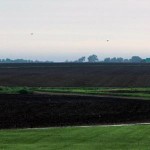 Protecting valuable nutrients this spring