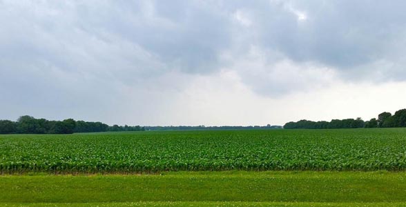 Farmers National: ag land values “down 3% to up 3%” in 2025