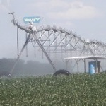Stifling temperatures means the pivots keep running in Nebraska