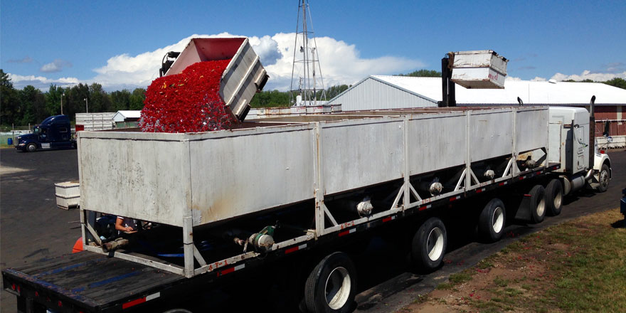 Cherry growers worry about future demand following major crop losses
