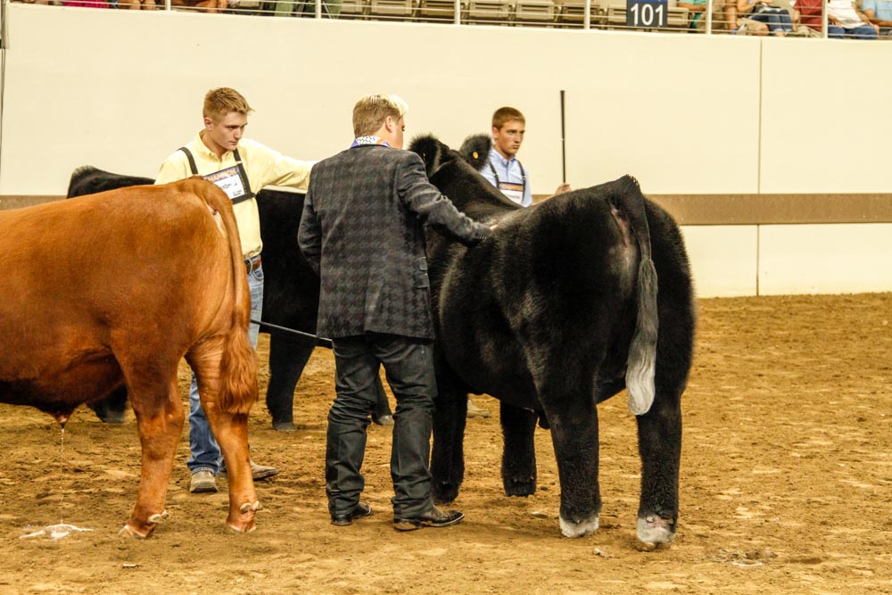 Judge says 4-H program builds better young people - Brownfield Ag News