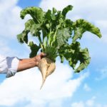 Sugarbeet planting winding down in southern Red River Valley