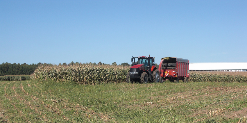 Investors fuel stable farmland market across SW Wisconsin
