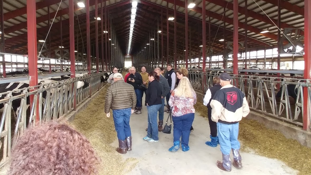 Changing focus from more milk to better components improved dairy farm