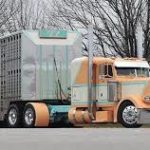 Stricter consequences considered in MO for disrupting livestock hauls