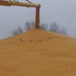 Iowa’s corn harvest at 92 percent