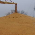 Iowa’s corn harvest reaches two-thirds mark