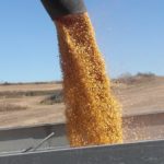 End is in sight for Nebraska’s 2017 harvest