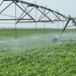 Bay Farm improvements result in expanded research