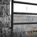Indiana Farm Bureau outlines legislative priorities