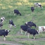 Farmers are signing up for MPP despite concerns