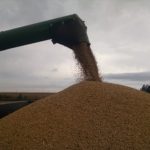 China’s new soybean requirements start January 1
