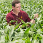 Taking another hard look at crop inputs