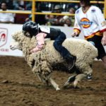 Activists want to end ‘mutton-busting’