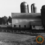 Organic groups want Organic Livestock and Poultry Practices Rule