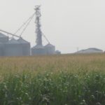 2017 farmland values stabilized in four FCSAmerica states