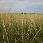 CRP Reform Act introduced in U.S. Senate