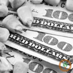 Soybeans down, corn up ahead of USDA numbers