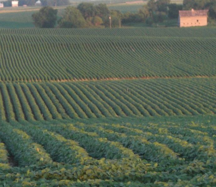 ASA Stage Kubota committed to growing agriculture Brownfield Ag News