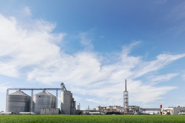 Growing energy demand could create new opportunities for farmers