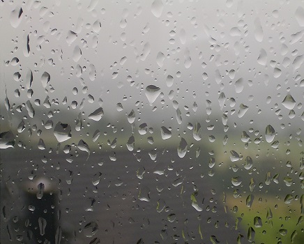 Too wet to plant: Michigan State experts warn of soil moisture risks this season
