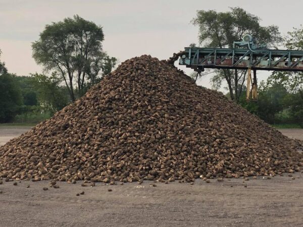 Industry warns of crisis: U.S. sugar growers need immediate action as losses mount