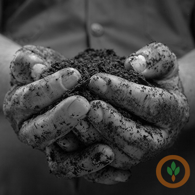 Michigan State study early results finds low PFAS risk in farm soils