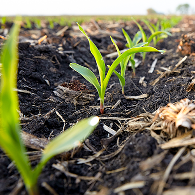 BASF unveils ‘Circalo’ platform to connect farm data to low-carbon fuel markets