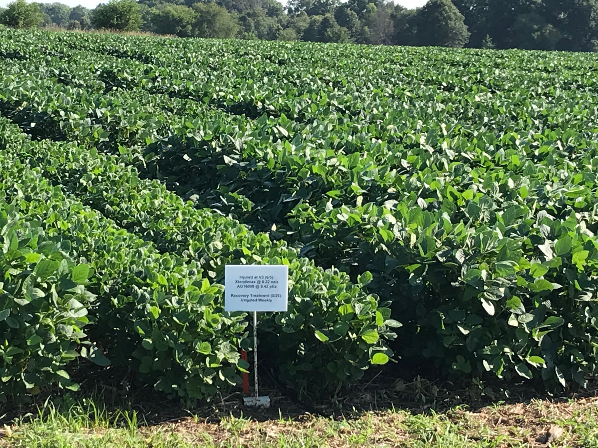 Experts warn that declining U.S. ag research investments could threaten global food security by 2050