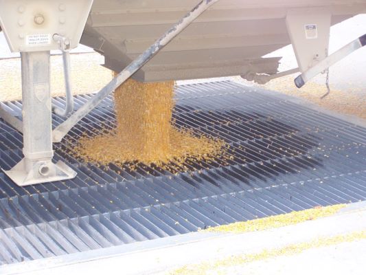 SW Minnesota farmer capitalizes on rising grain prices