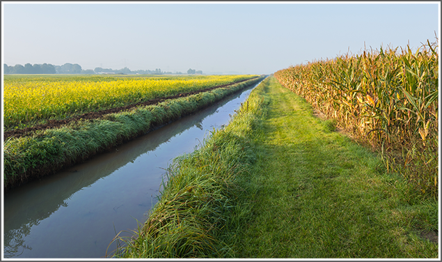 Minnesota Corn Growers prepare to defend farm drainage rights at Capitol