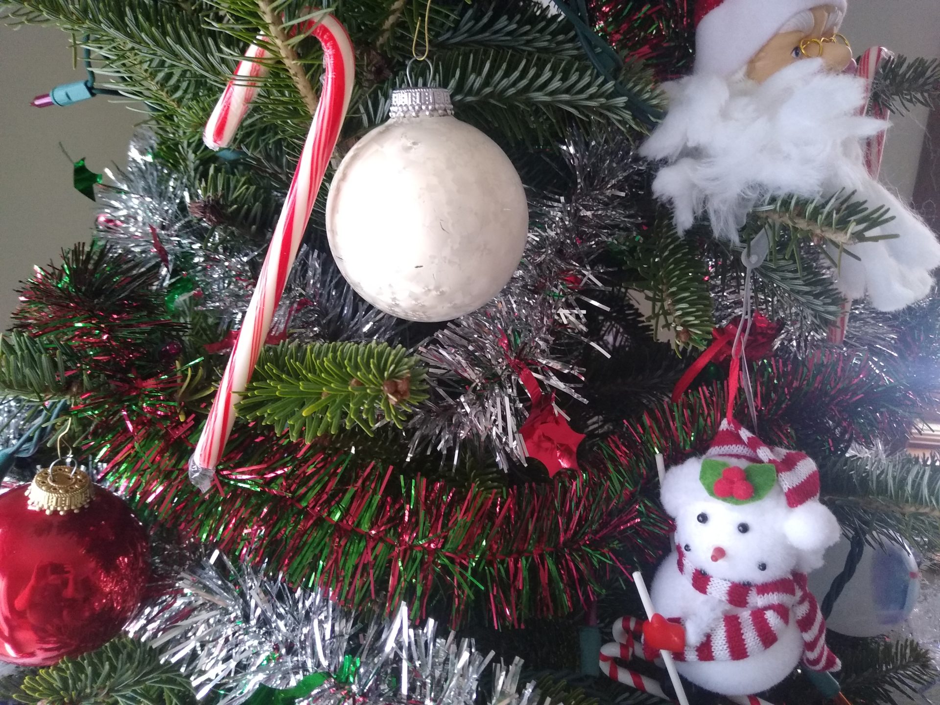 Two things have led to some Christmas tree shortages Brownfield Ag News