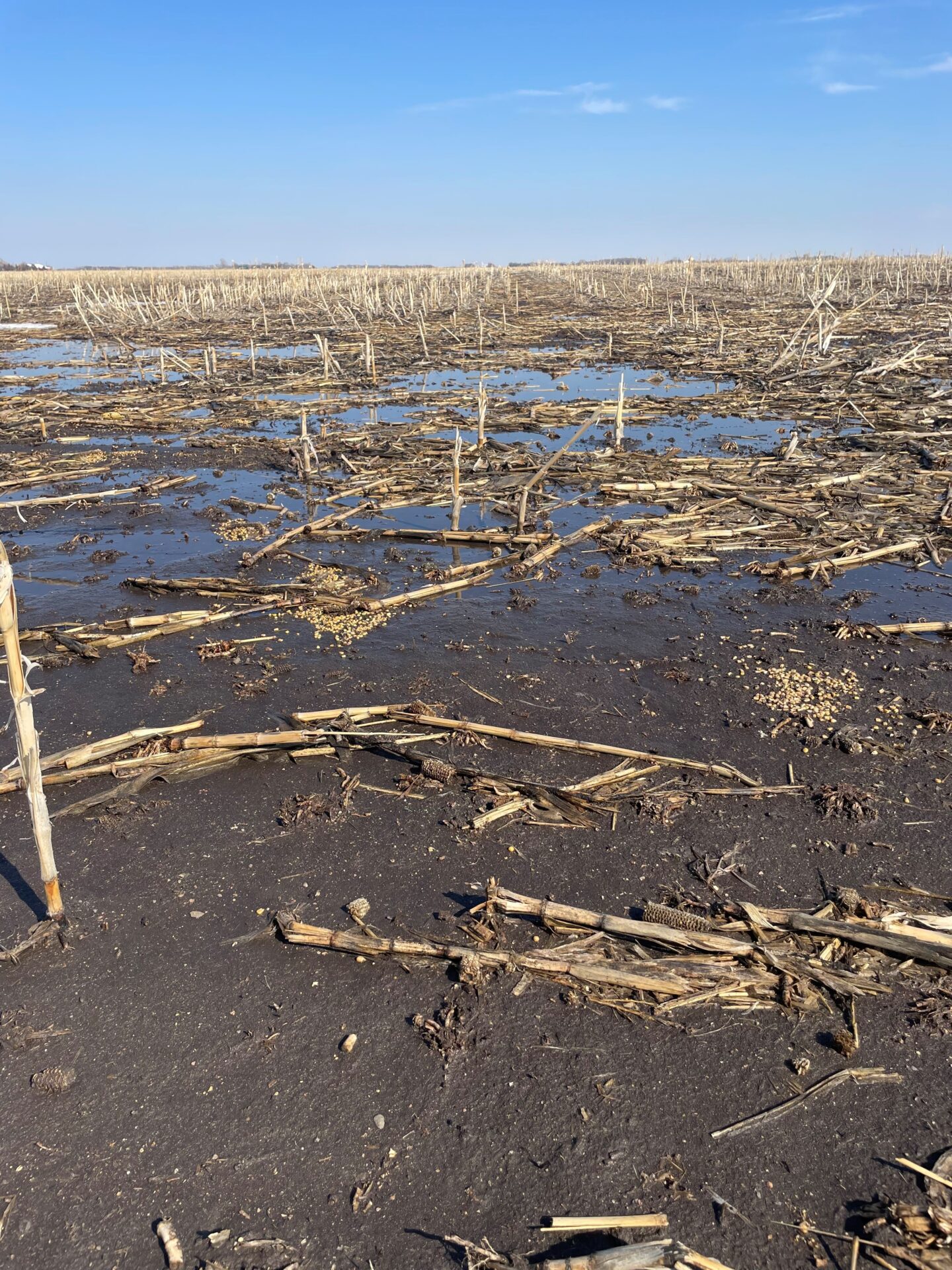 SD farmers expect later start to spring planting Brownfield Ag News