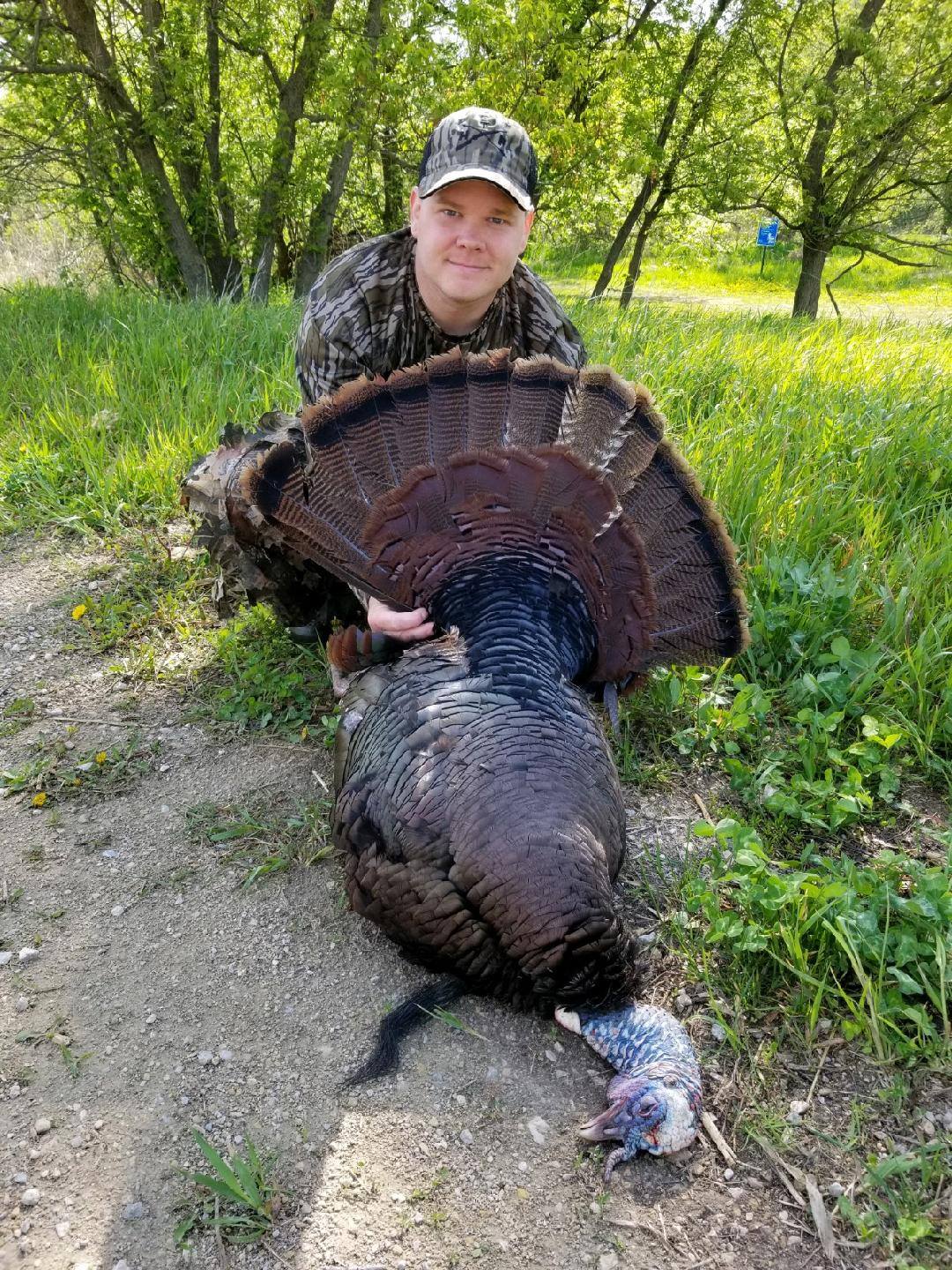 Late season spring turkey hunting tips Brownfield Ag News