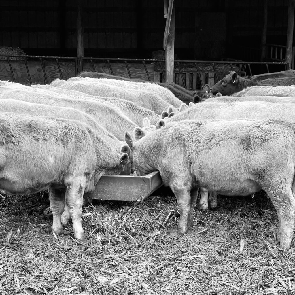Protecting the highs brownfield ag news