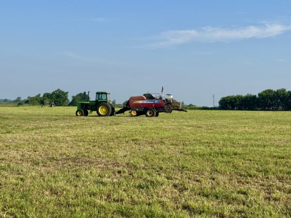 Illinois hay crop off to good start