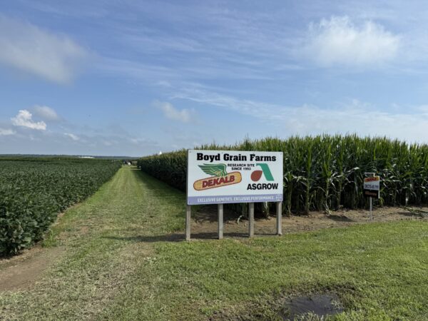 Asgrow представил новые продукты и рекомендации на 2026 год