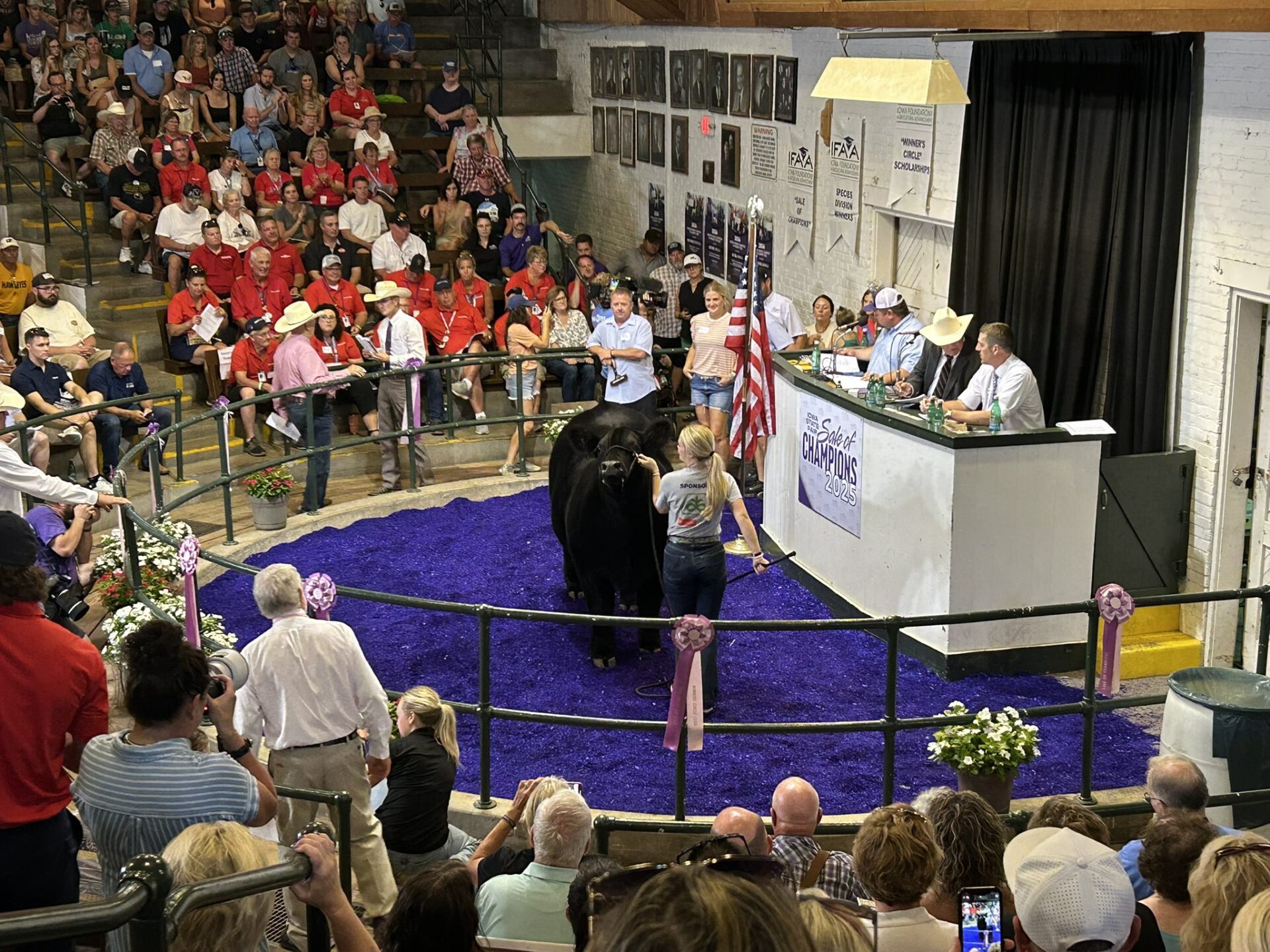 Sale of Champions hits $643,000 at Iowa State Fair