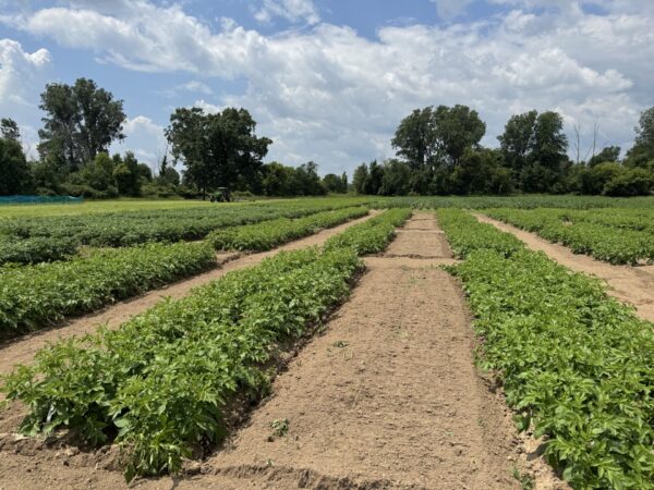 Research station serves as Michigan’s meeting place