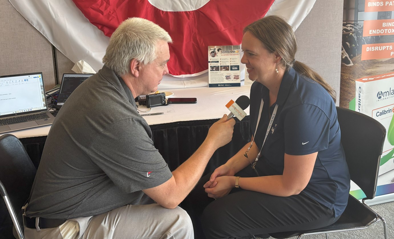 Holiday deals ahead? Butter prices fall sharply before seasonal demand hits