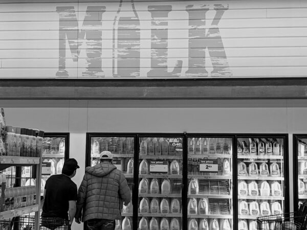 New research suggests higher consumption of whole-fat dairy could lower heart disease risks