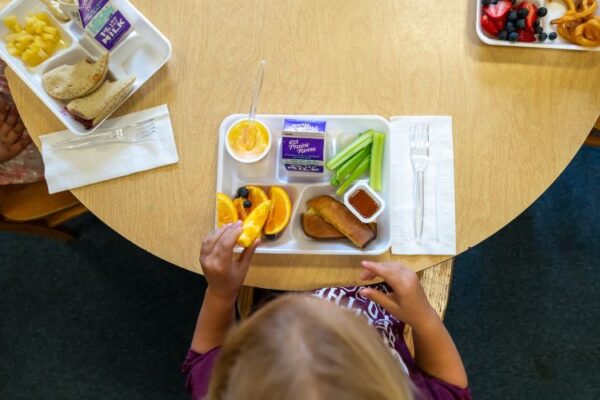 Michigan cuts 10 Cents a Meal Program after a decade of success supporting schools and local farmers