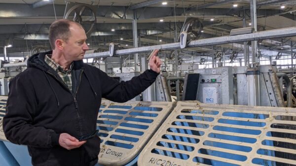 MSU dairy center begins research on high oleic soybeans with new robotic feeders