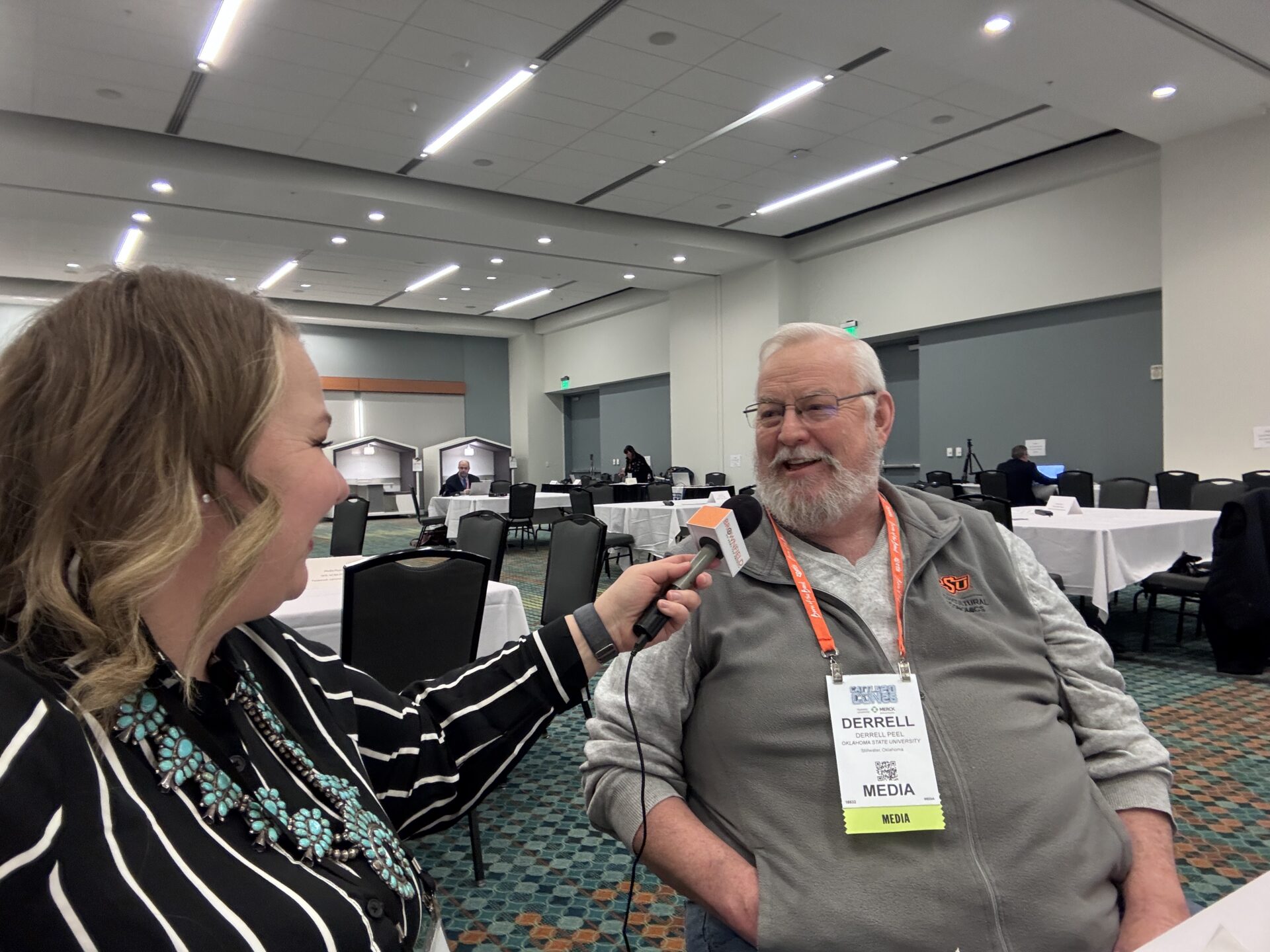 Ag economist expects cattle markets to face another year of volatility