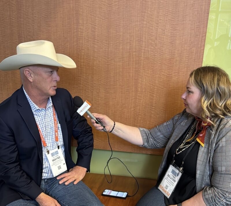 Texas cattle producers say proactive management is critical amid New World screwworm concerns