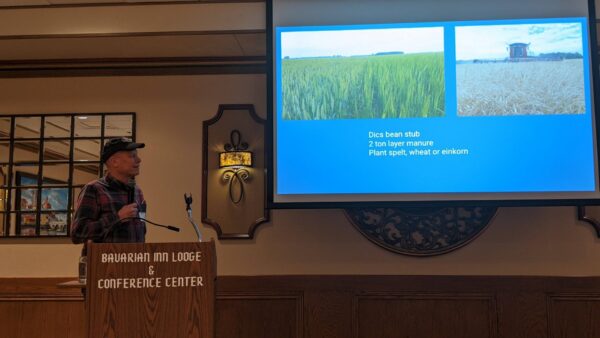 Ag economy tightens margins for organic grain growers