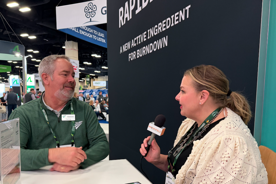 Research finds Rapidicil offers resistance management options for farmers