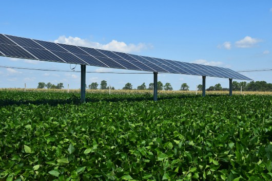 Ag economist says producers concerned land use pressures will impact Midwest farmland values